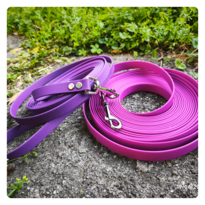 Voies Canines - Articles site (2)