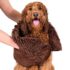 Dog Gone Smart Dirty Dog Shammy accessoire pour chiens